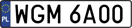 WGM6A00