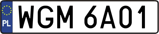 WGM6A01