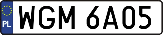 WGM6A05