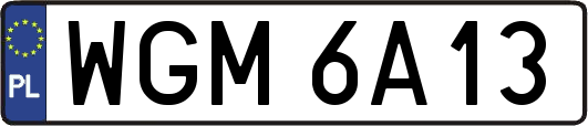 WGM6A13