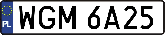 WGM6A25