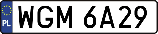 WGM6A29