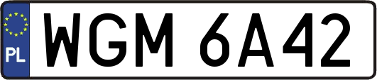 WGM6A42