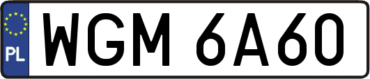 WGM6A60