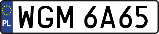 WGM6A65