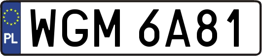 WGM6A81