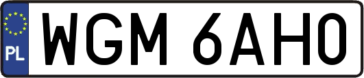 WGM6AH0
