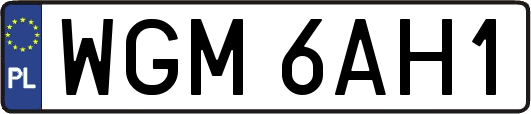 WGM6AH1