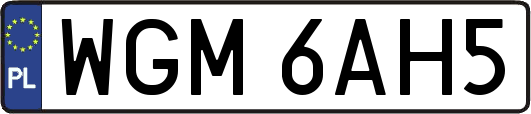 WGM6AH5
