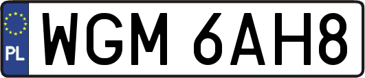 WGM6AH8