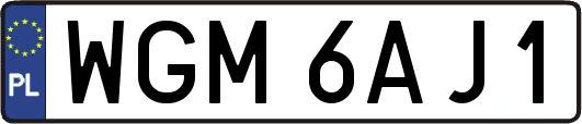WGM6AJ1