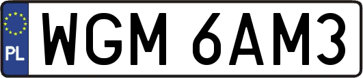 WGM6AM3