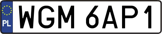 WGM6AP1