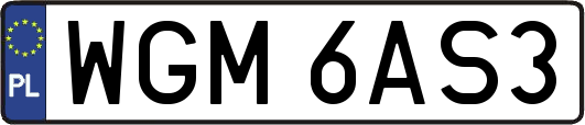 WGM6AS3