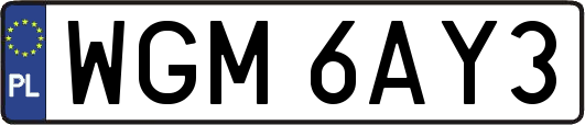 WGM6AY3