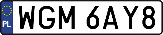 WGM6AY8