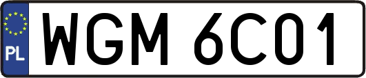 WGM6C01