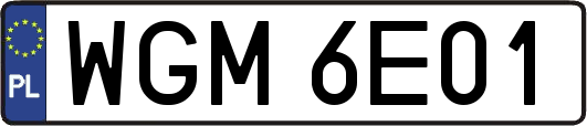 WGM6E01