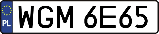 WGM6E65