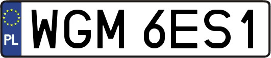 WGM6ES1