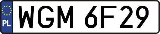 WGM6F29