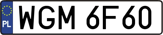 WGM6F60
