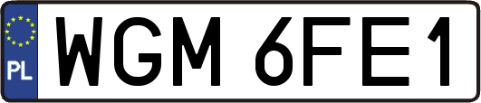 WGM6FE1