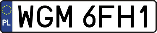 WGM6FH1