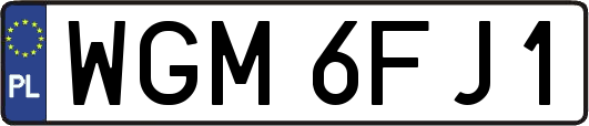 WGM6FJ1
