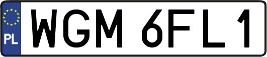 WGM6FL1