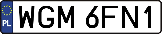 WGM6FN1