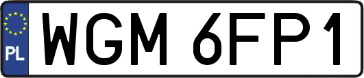 WGM6FP1