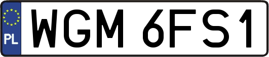 WGM6FS1