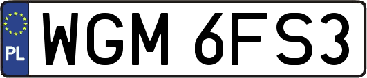 WGM6FS3