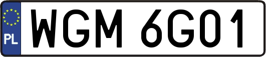 WGM6G01