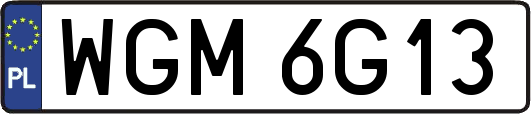 WGM6G13
