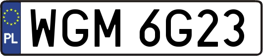 WGM6G23