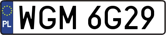 WGM6G29