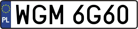 WGM6G60