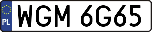 WGM6G65