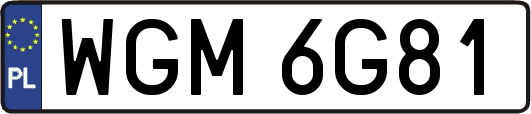 WGM6G81