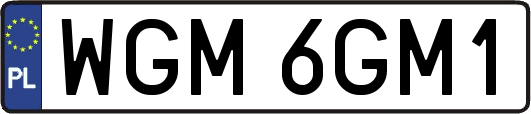 WGM6GM1