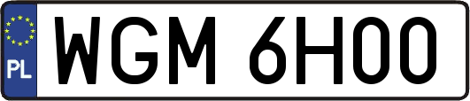 WGM6H00