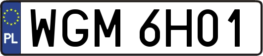 WGM6H01