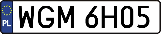 WGM6H05