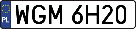 WGM6H20