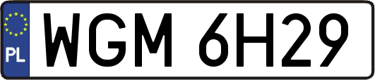 WGM6H29