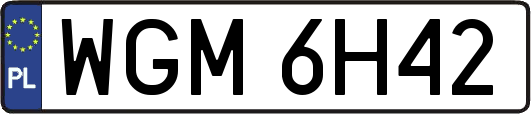 WGM6H42
