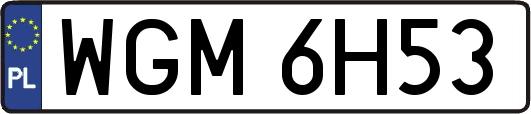 WGM6H53