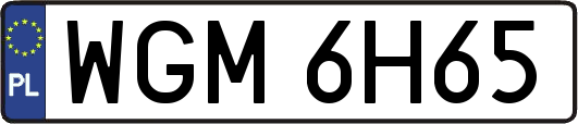 WGM6H65